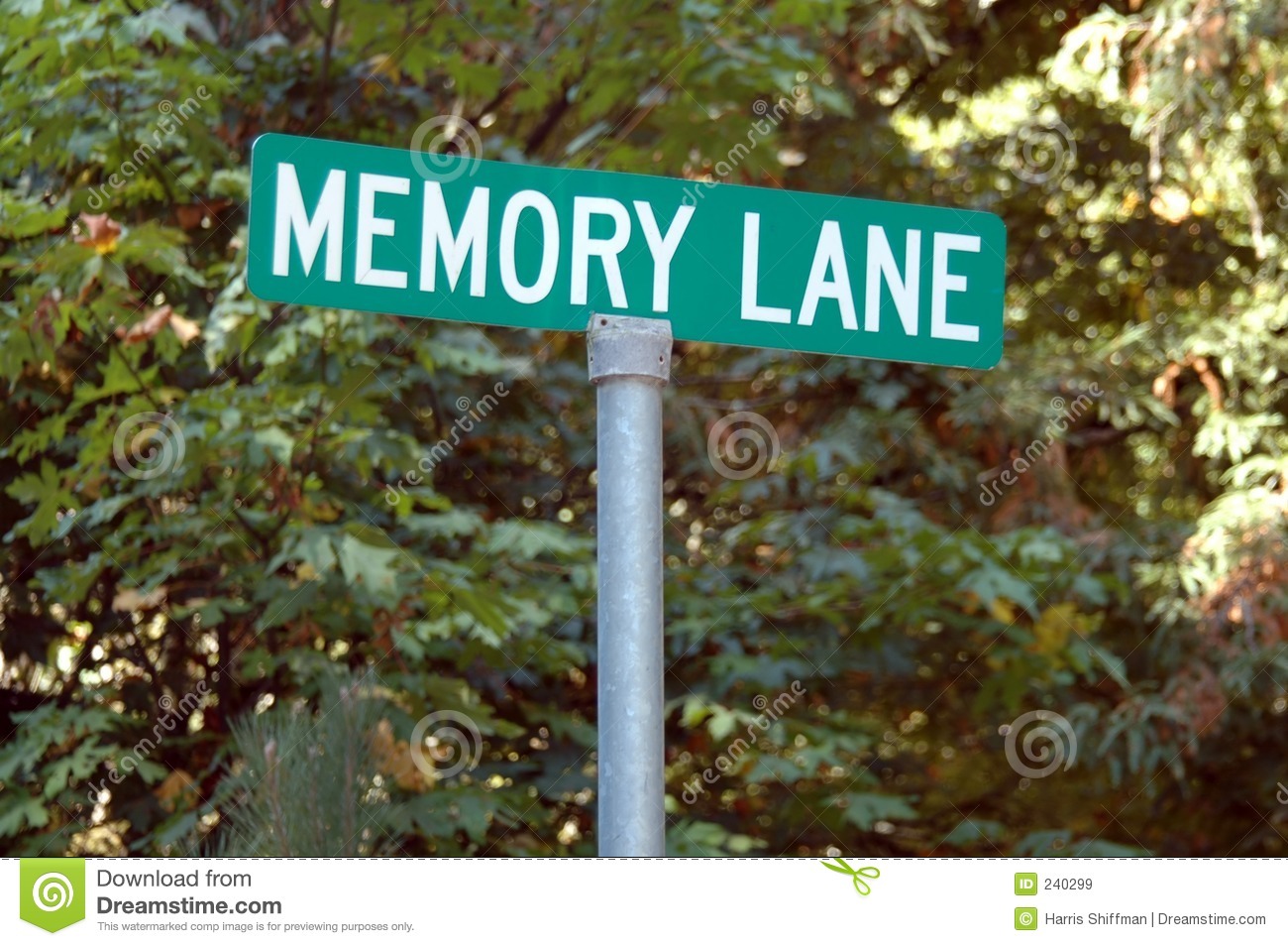 Memory Lane Royalty Free Stock Images   Image  240299