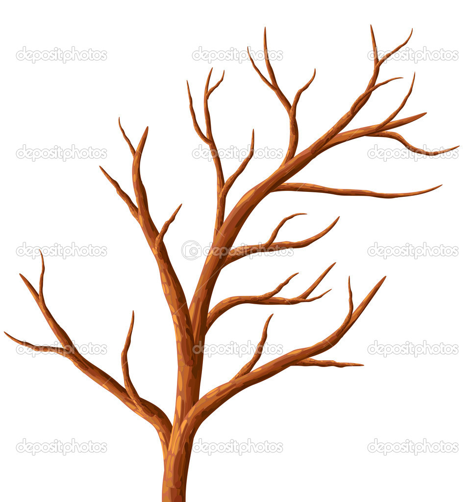 Tree Without Leaves    Stock Vector   Lukalex  8911973