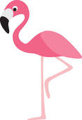 Flamingo Stock Illustrations   Gograph