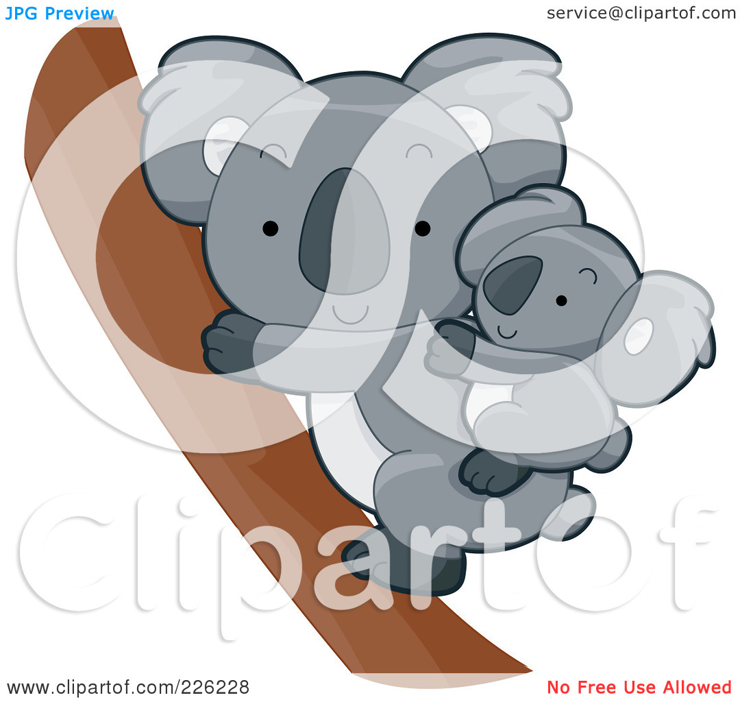 Royalty Free  Rf  Clipart Illustration Of A Cute Baby Koala On Its