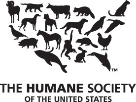 What Shelter System    Animal Rescuers Coalition Of North America
