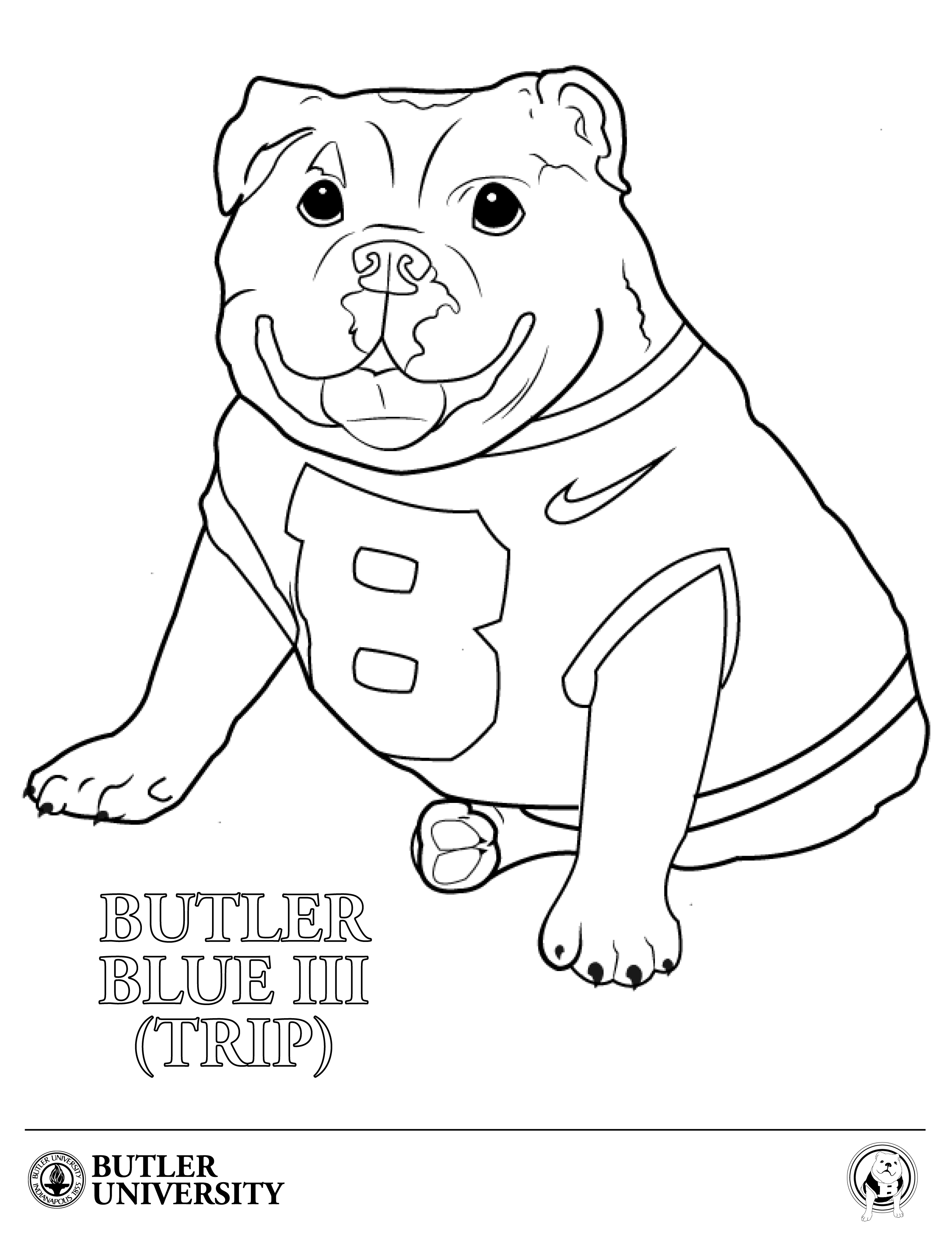 Butler Bulldog Colouring Pages