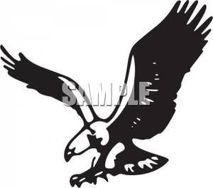 Black And White Bald Eagle Clipart Picture