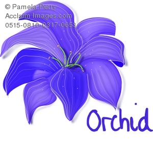 Nothing Found For Images Purple Orchid Clipart