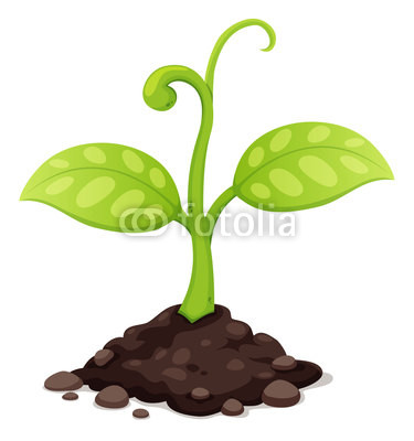 Illustration Of New Born Plant Growing Stock Image And Royalty Free