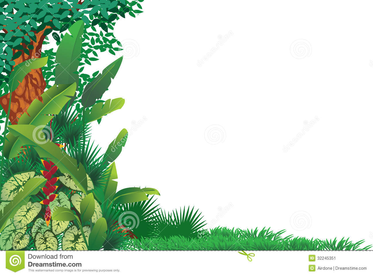 Exotic Tropical Forest Stock Image   Image  32245351