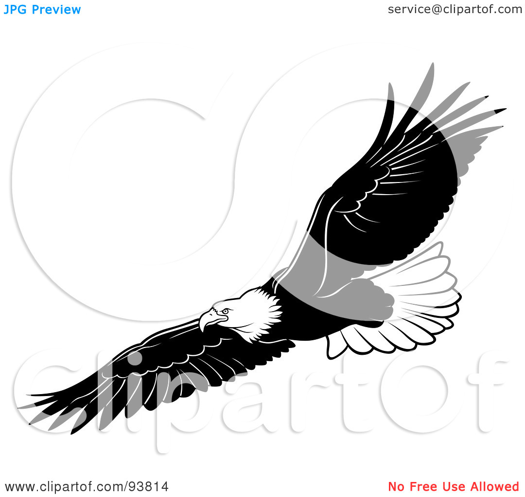 Rf  Clipart Illustration Of A Black And White Bald Eagle In Flight   3