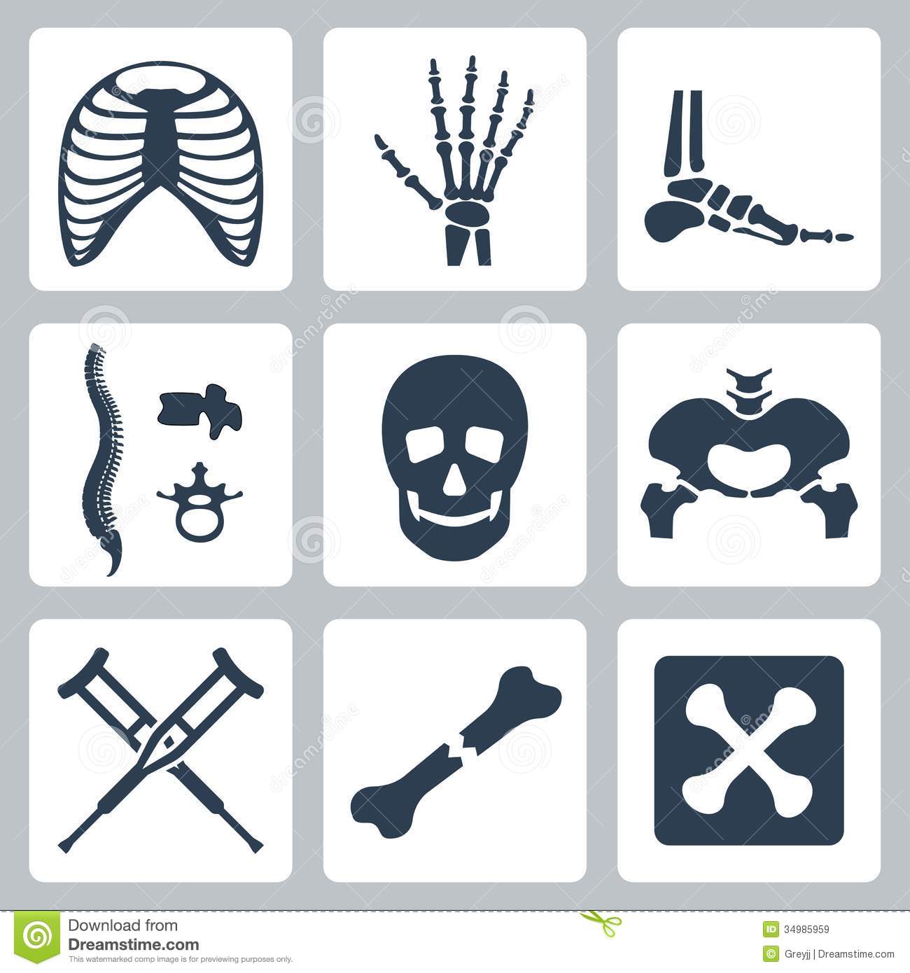 Vector Skeleton Icons Set Royalty Free Stock Images   Image  34985959