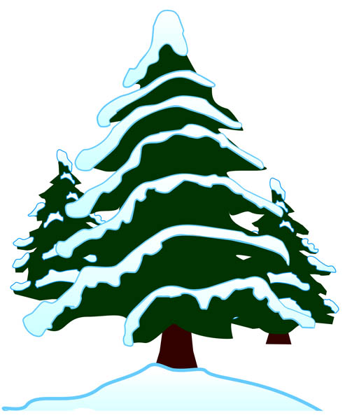 Illustration Of Snow Covered Evergreen Trees