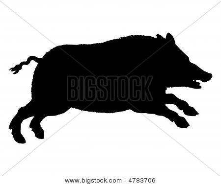 The Black Silhouette Of A Running Wild Pig On White Stock Photo