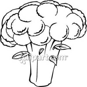 Black And White Broccoli   Royalty Free Clipart Picture