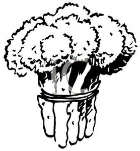 Clipart Image Of Black And White Bunch Of Broccoli