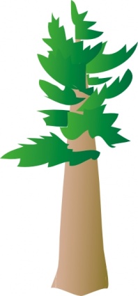 Download White Pine Tree Clip Art Vector For Free