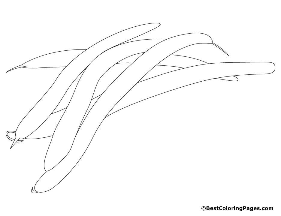 Green Beans Coloring Pages   Download Free Green Beans Coloring Pages