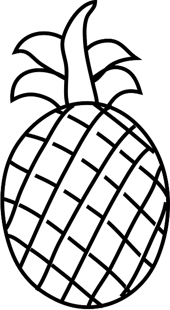 Fruit Outline Drawing   Clipart Panda   Free Clipart Images