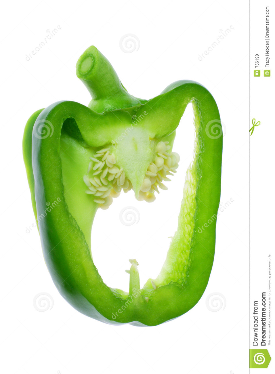 Green Pepper Royalty Free Stock Photos   Image  756198