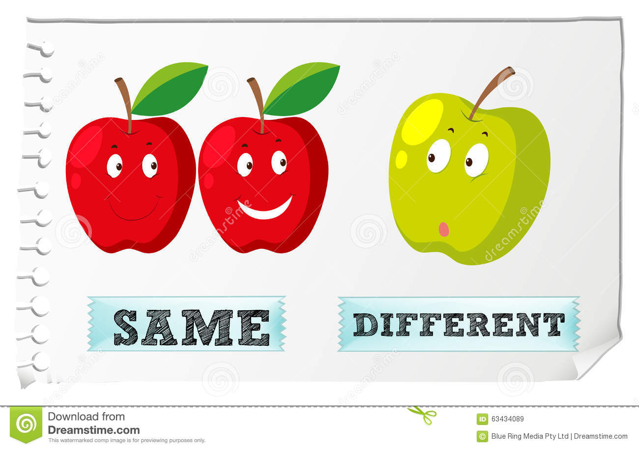Opposite Adjectives With Same And Different Illustration