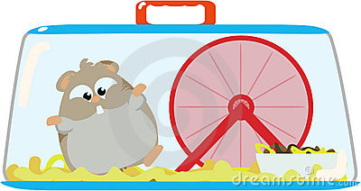 Cute Hamster Clipart Images   Pictures   Becuo