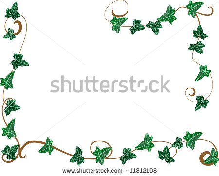 Frame Green Ivy Leaves Stock Photos Images   Pictures   Shutterstock