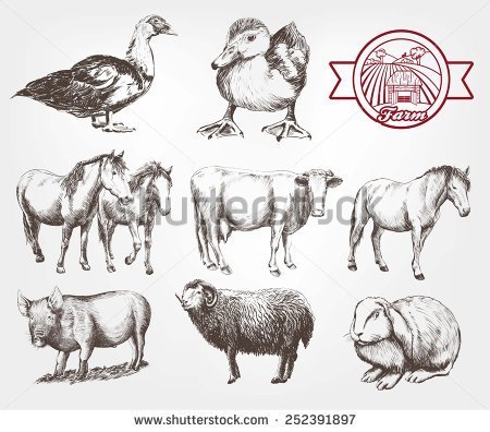 Farm Animals  Set Of Vector Sketches On A White Background   Stock
