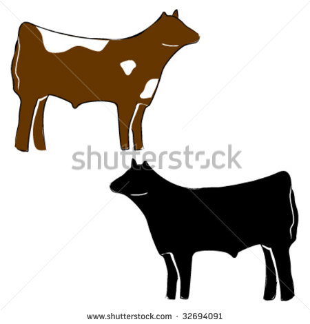 Steer Cow Stock Photos Illustrations And Vector Art
