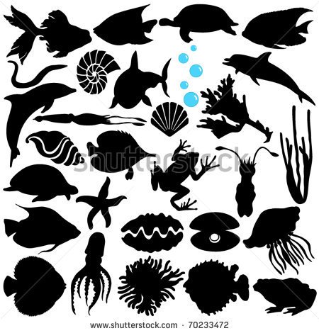 Vector Silhouette Of Fish Sealife  Marine Life Seafood  Isolated