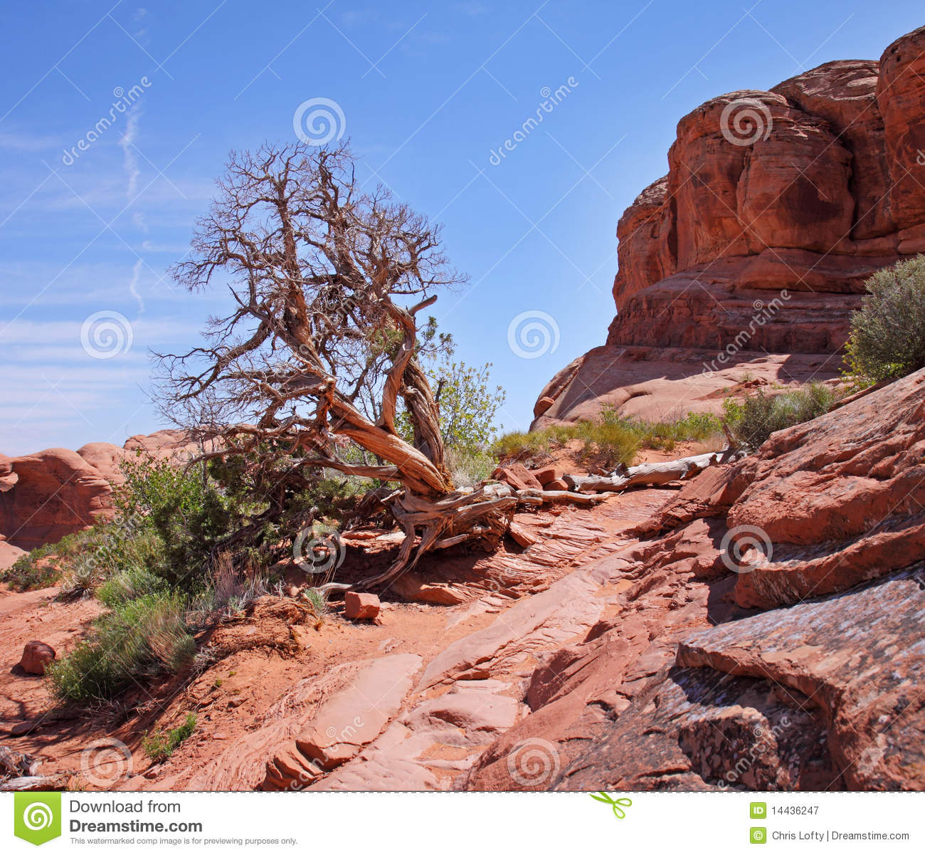 Canyon Landscape In The Usa Royalty Free Stock Photography   Image