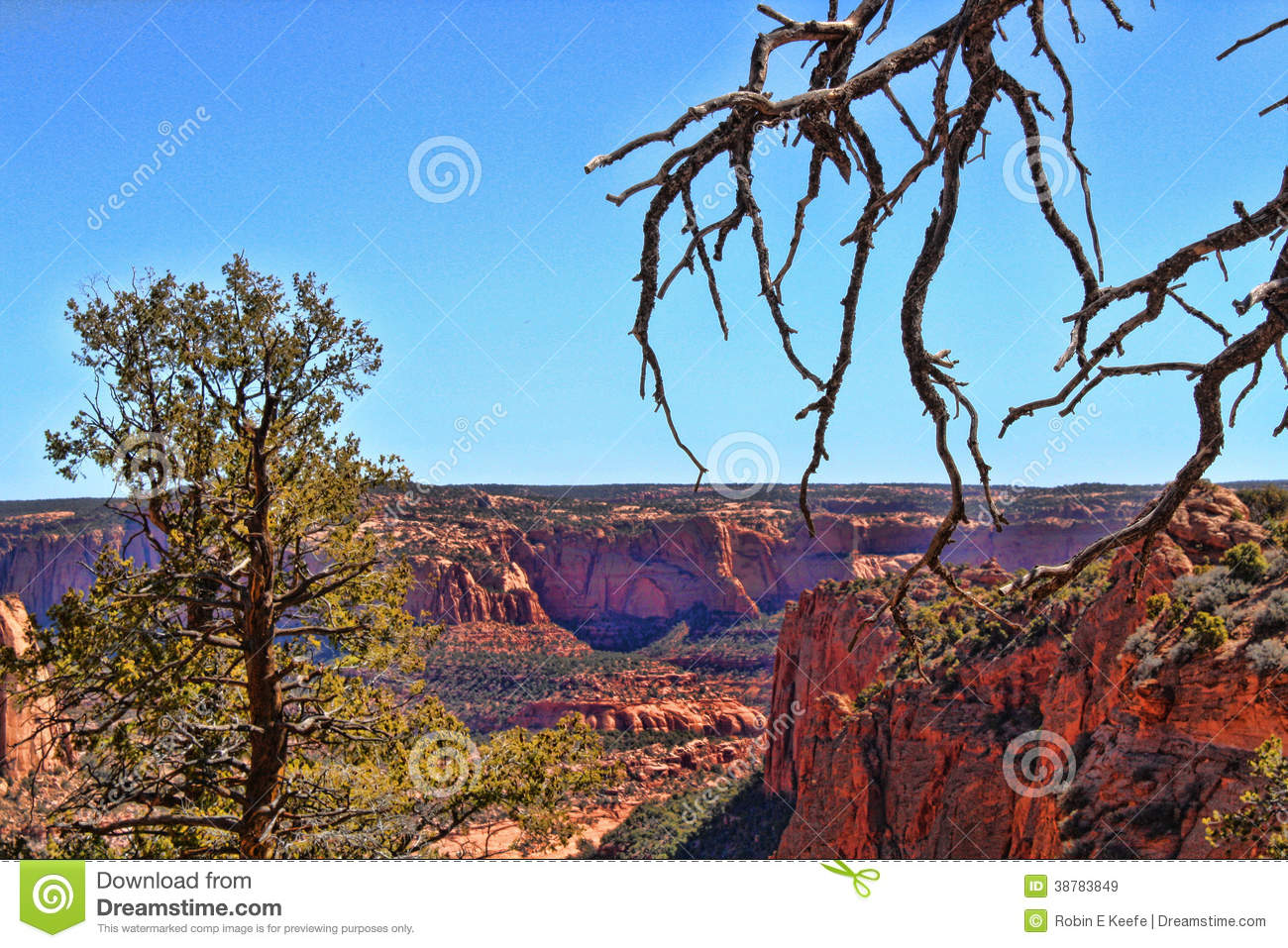 Canyon Landscape Stock Photo   Image  38783849