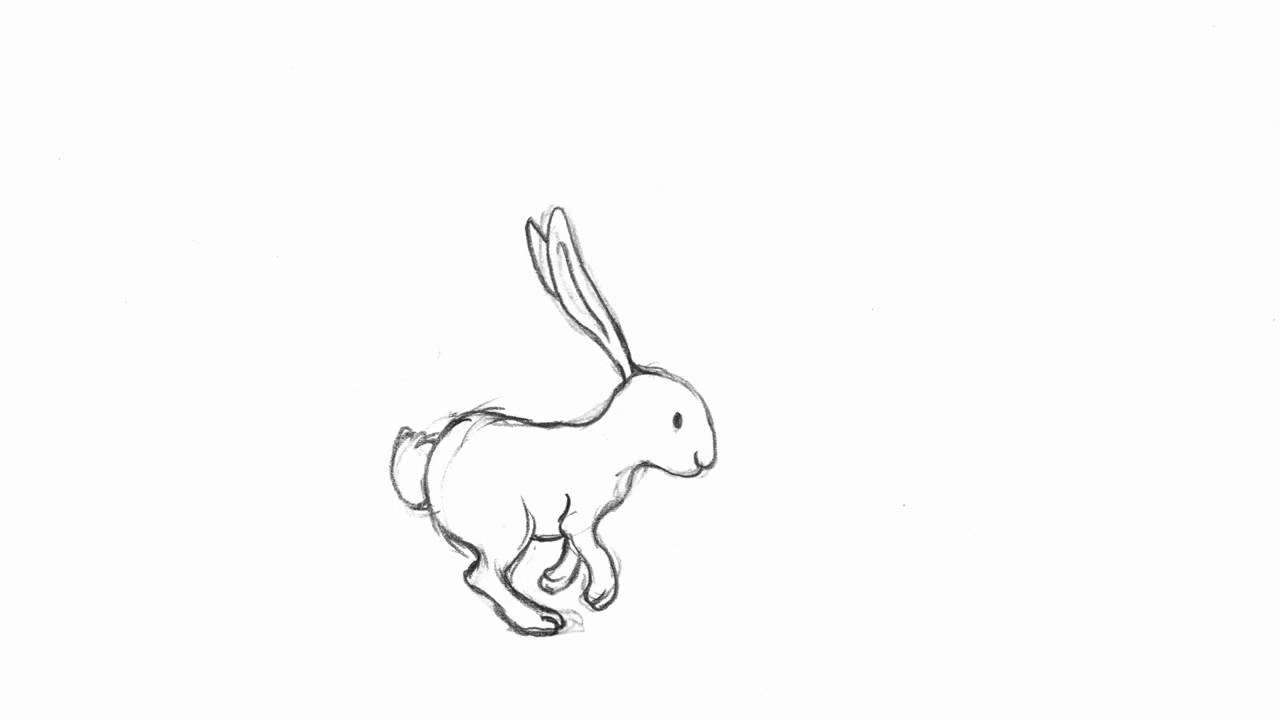 Running Rabbit   Pencil Test   Youtube