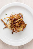 Turkey Meat Loaf With Fired Onion Strings Stock Photography