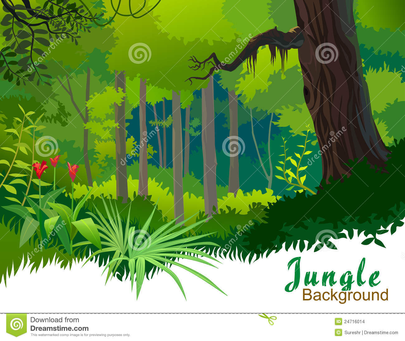 Displaying 16  Images For   Rainforest Tree Clipart