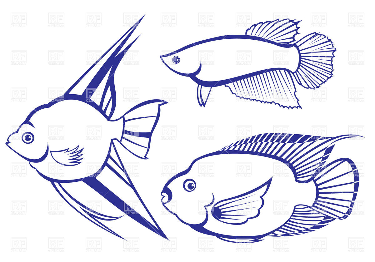 Tropical Fish Outline Download Royalty Free Vector Clipart  Eps