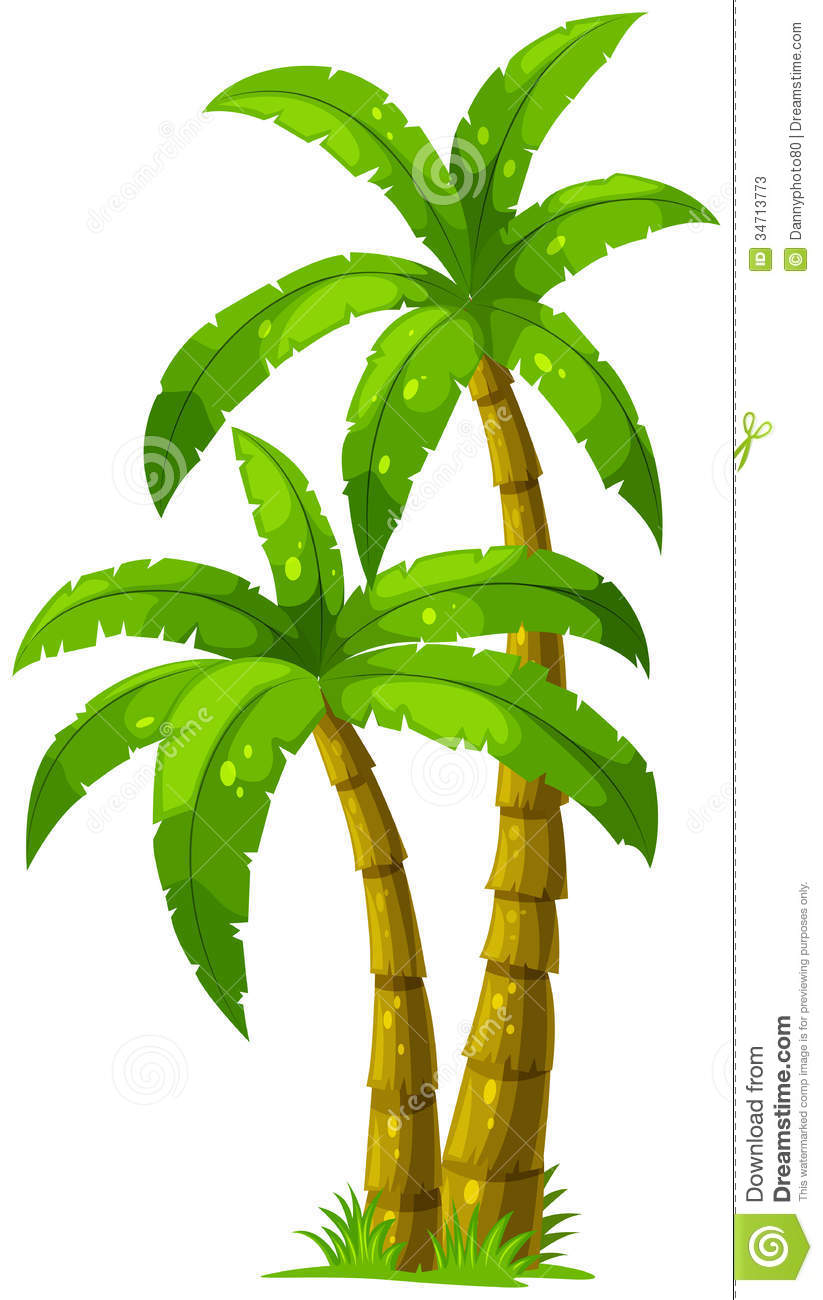 Coconut Tree Cartoon Images Palm Tree Clip Art