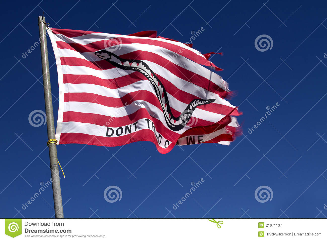 Flag   Don T Tread On Me Royalty Free Stock Photography   Image