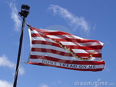 The American Revolution S Don T Tread On Me Flag At Pearl Harbor