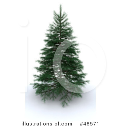 Evergreen Tree Clipart  46571 By Kj Pargeter   Royalty Free  Rf  Stock