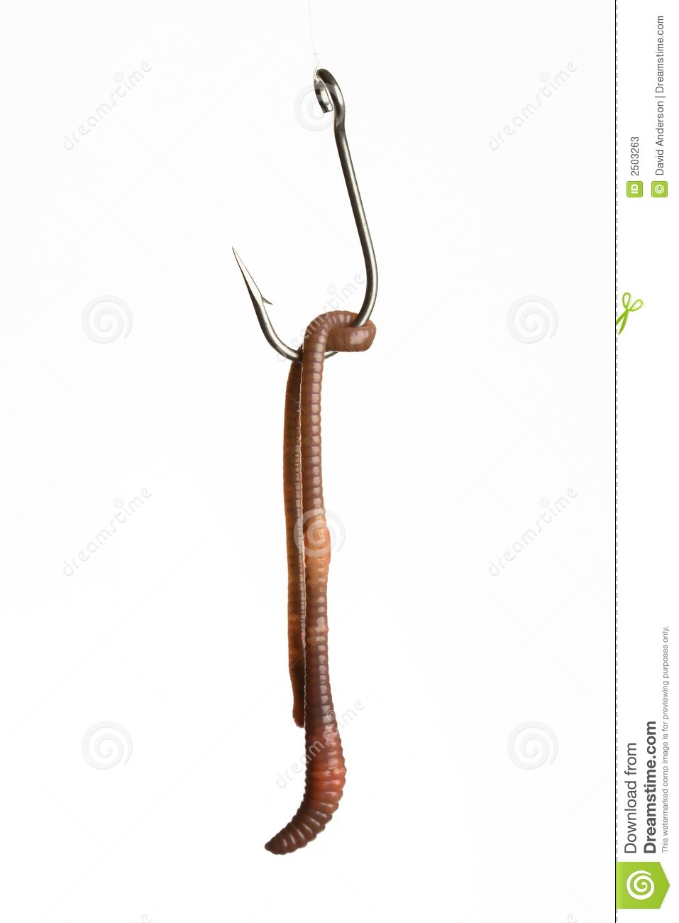 Fishing Hook Worm Clipart Worm On Fish Hook
