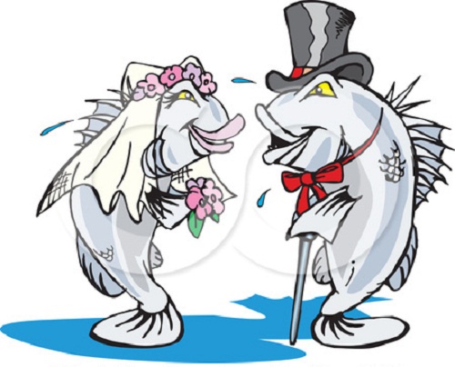 Download Bride And Groom Clipart Funny