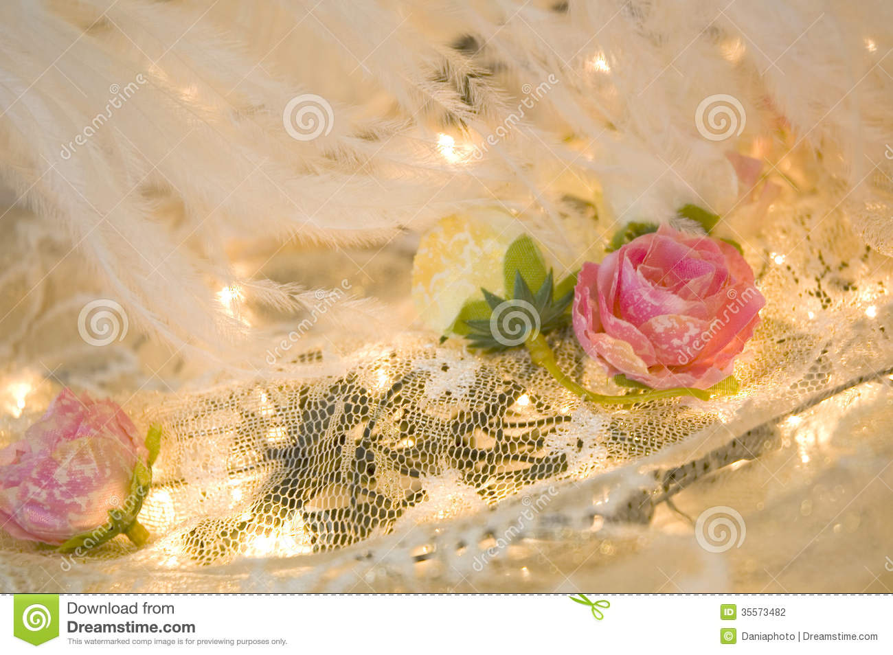 Romantic Roses And Feather Stock Photography   Image  35573482