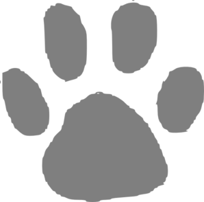 Bear Paw Clip Art At Clker Com   Vector Clip Art Online Royalty Free