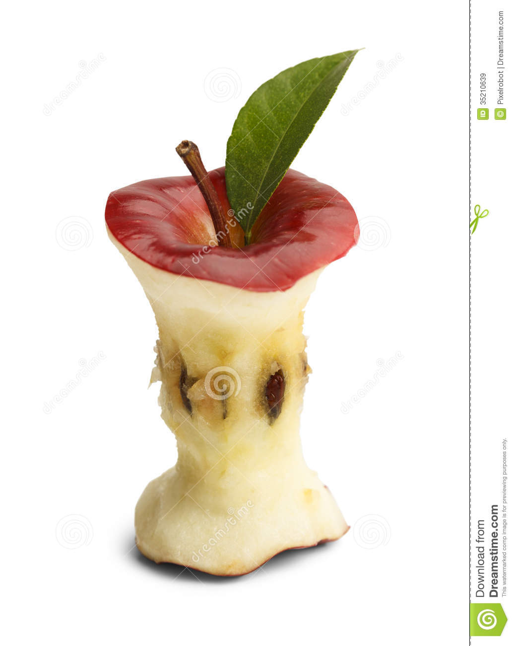 Apple Core Royalty Free Stock Images   Image  35210639