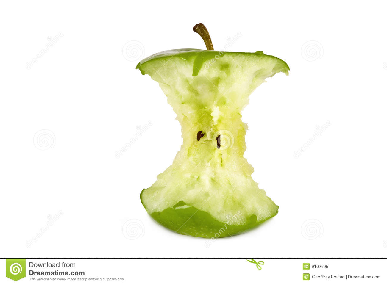 Green Apple Core Royalty Free Stock Photo   Image  9102695