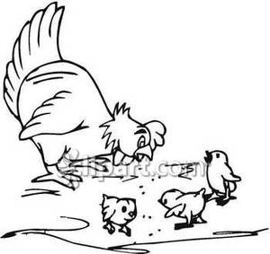 Black And White Drawing Hen And Her Chicks Royalty Free Clipart