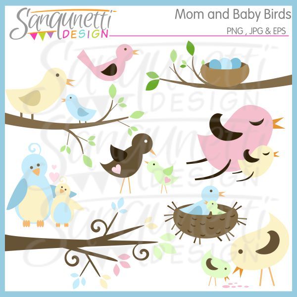 Mom And Baby Birds Clipart Includes Birds On Branches Nests Birds
