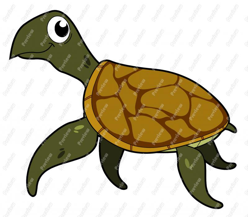 Sea Turtle Character Clip Art   Royalty Free Clipart   Vector Cartoon