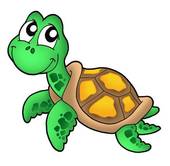 Sea Turtle Illustrations And Clipart