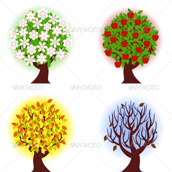Four Seasons Of Apple Tree    Seasons Holidays Conceptual