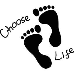 Choose Life   Jenny Erikson   Conservative Blogger