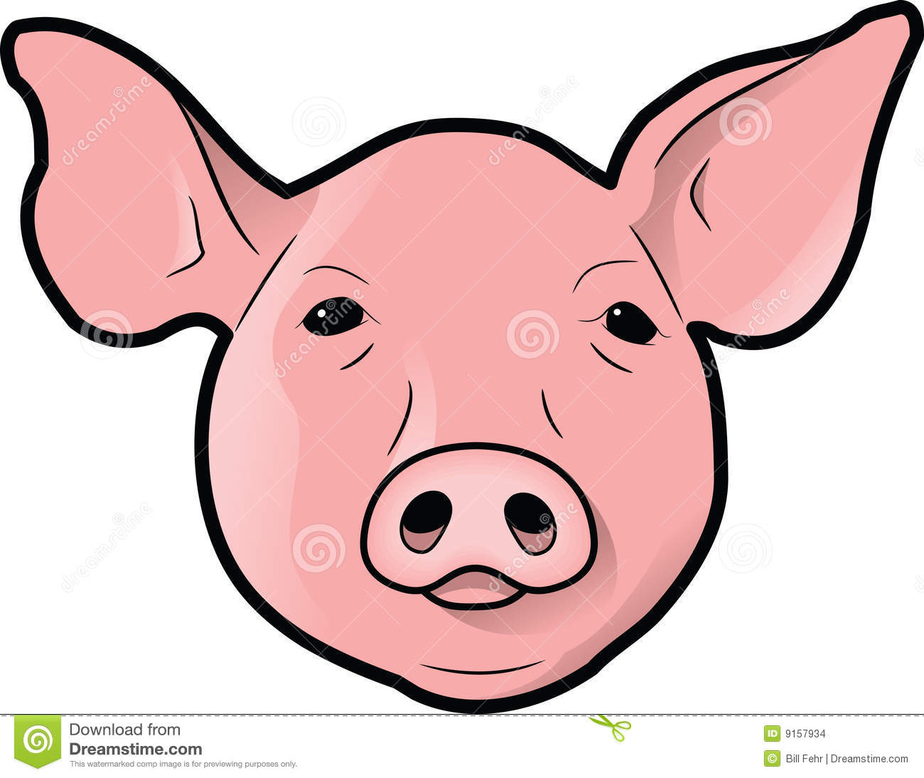 Pig S Head Stock Images   Image  9157934