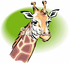 Giraffe Face On A Green Background   Royalty Free Clipart Picture